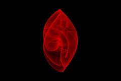 The Art of Strange Attractors