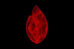 The Art of Strange Attractors