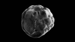 Heavenly Bodies (detail)